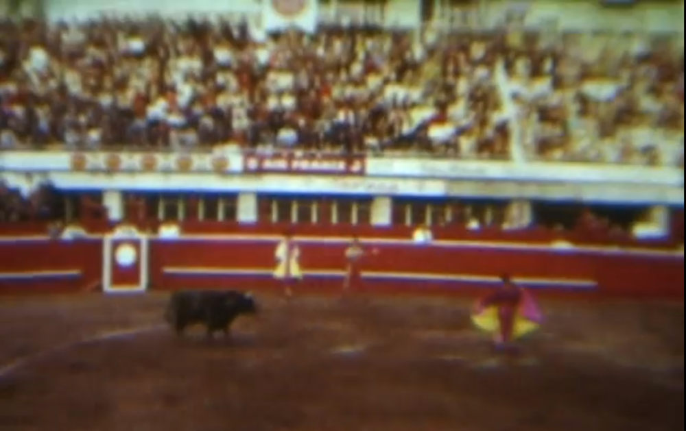 Jedina korida održana van Španije ikada bila je u Beogradu! Matadori bili zgranuti kada su shvatili za koga Srbija zapravo navija (VIDEO)