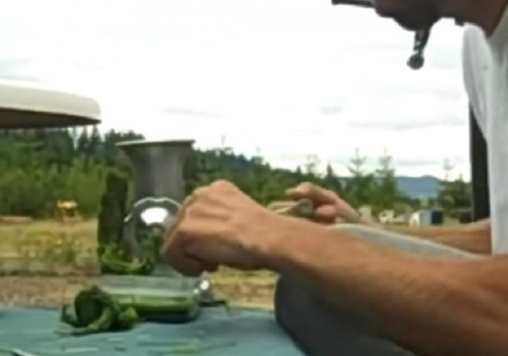 Rak je metastazirao i pojeo ga iznutra, a onda je nesrećni čovek uz pomoć jedne biljke pobedio smrt! (VIDEO)