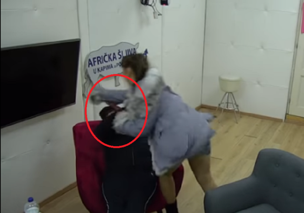 Miljana Kulić krvnički udarila Zolu pesnicom u glavu, on se trudio da je obuzda