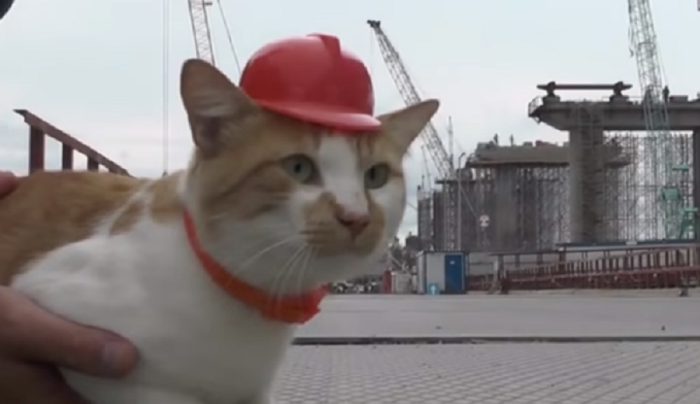 On je ruski inspektor za mostove, zove se Mostik, a priča o njemu će vas oduševiti (VIDEO)