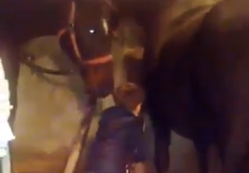 200.000 ljudi oduševljeno na FB-u. Neverovatan prizor kruži internetom (VIDEO)