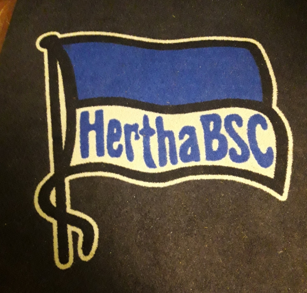 Sistem funkcionisanja nemačkih klubova