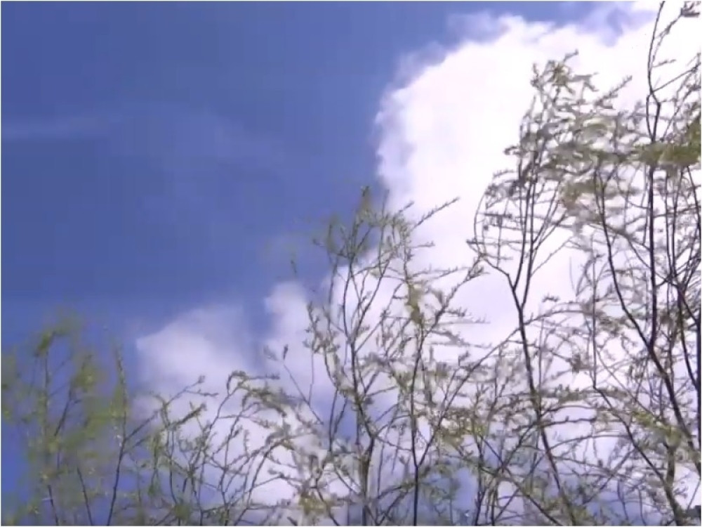 Čovek je krivac! A svet više nije isto mesto!