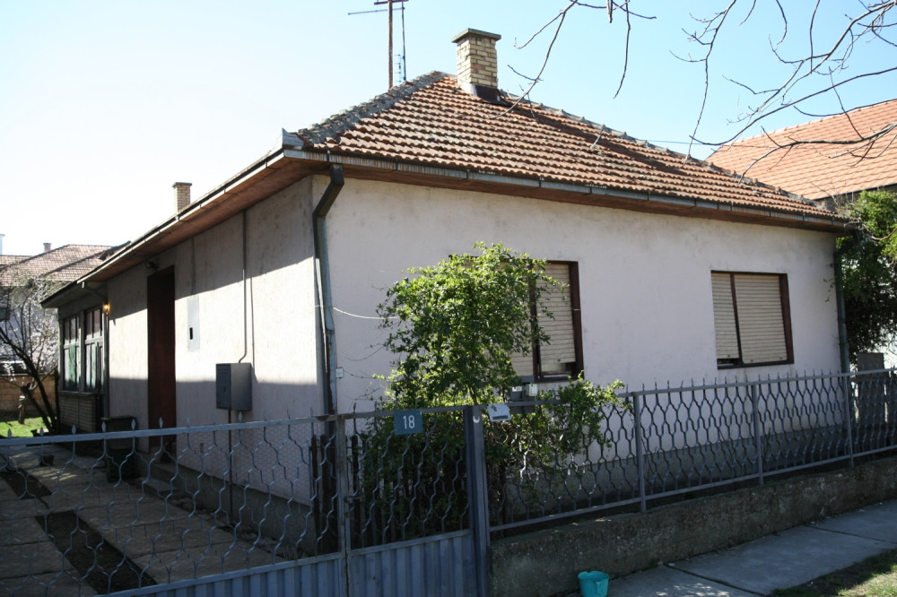 Muškarac izbačen iz stana sa 110 mačaka