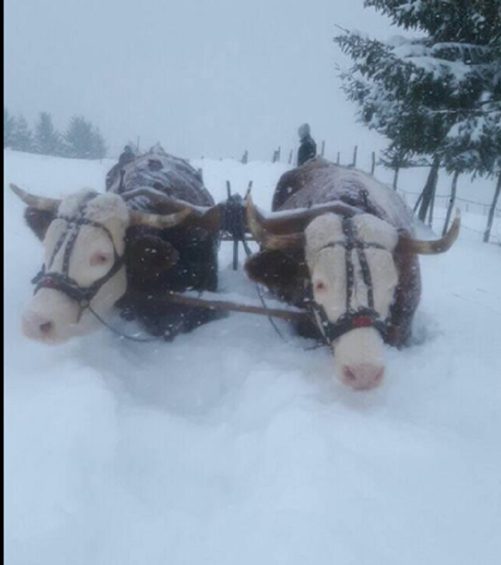 Miloš objavio sliku koja će vas oduševiti (FOTO)