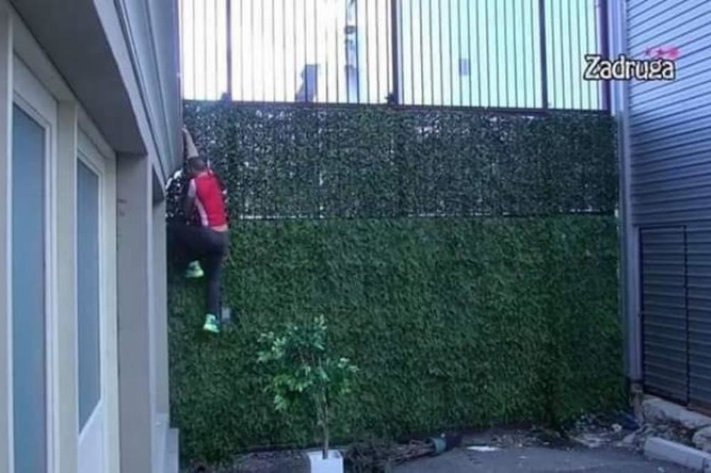 Vladimir Tomović beži iz Zadruge (VIDEO)