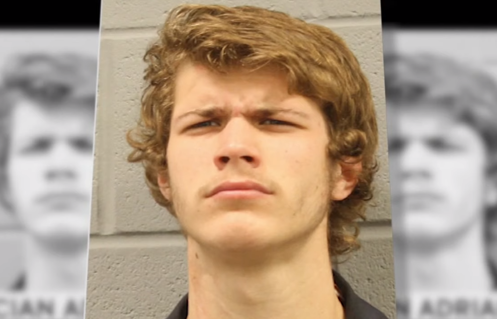 Mladić pokušao da ubije babu i dedu, ali onda se umešao njegov brat Saša (12)