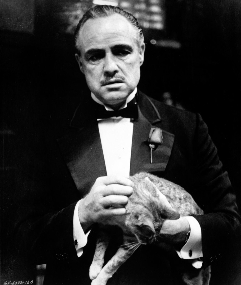 Ove detalje sa snimanja omiljenih filmova niste znali: Silvestar Stalone završio na intenzivnoj nezi, Leonardo di Kaprio šmrkao (FOTO)