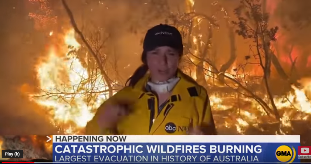 U pitanju je broj od 480 miliona, požari uništili sve pred sobom