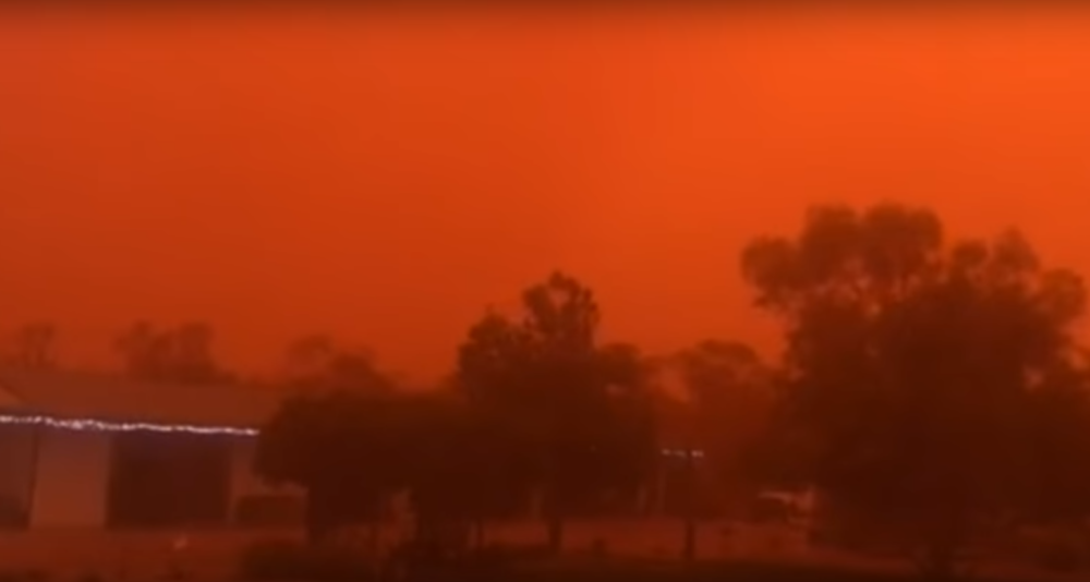 Uginulo milijardu životinja u strašnim požarima