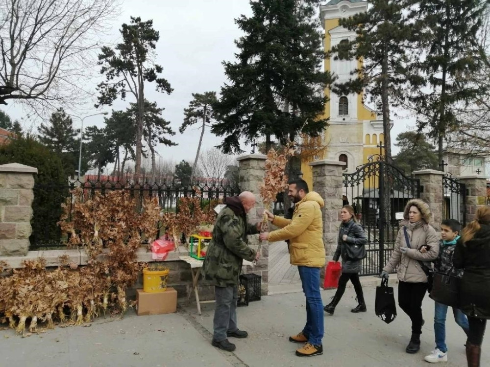 Novac od prodaje badnjaka donosi najbolji berićet: Evo zašto Mićo nikad ne vraća kusur (FOTO)
