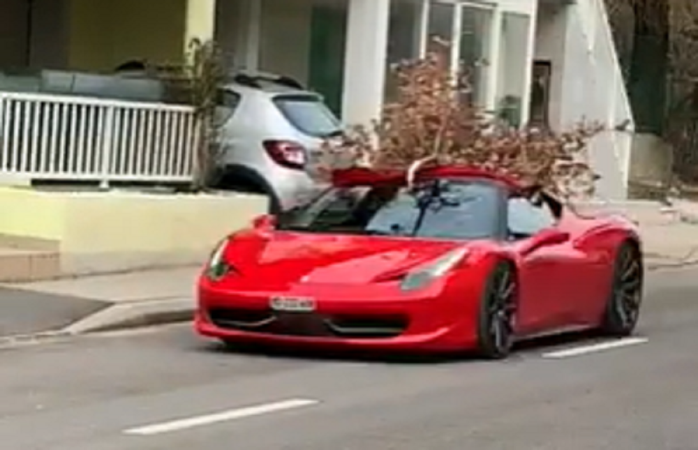 Ferarijem po badnjak u šumu! Nego kako, nek se zna! (HIT VIDEO)