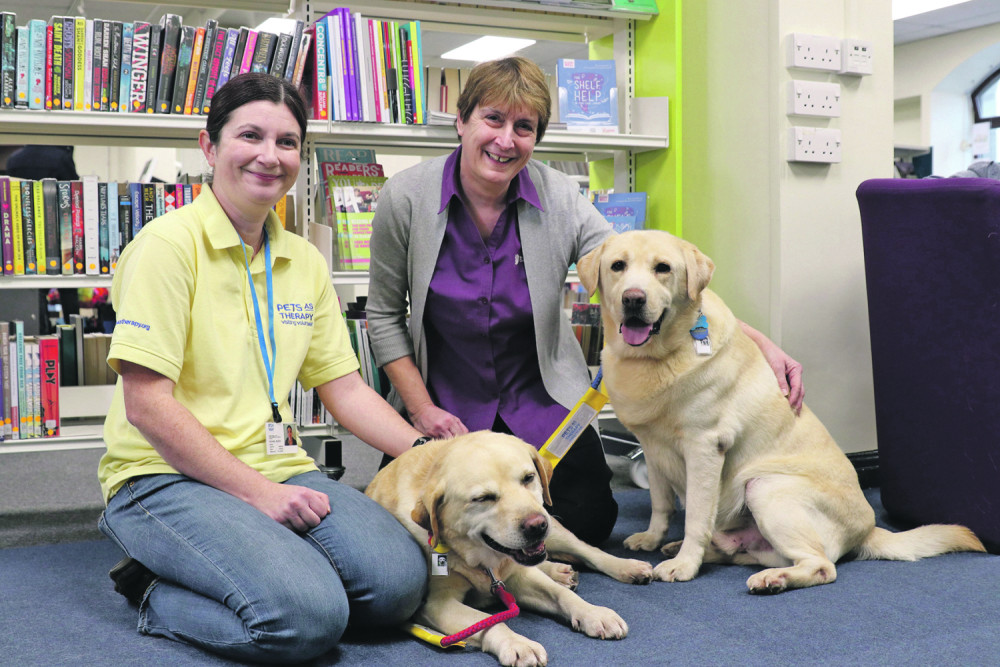 Pomažu deci da nauče da čitaju, ali to nije sve!