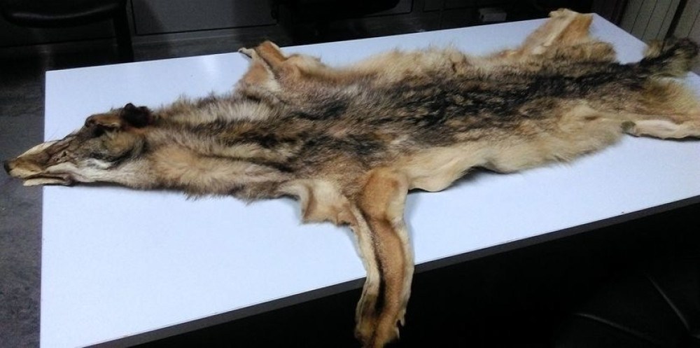 U kolima mu našli sumnjiv kofer. U njemu nikad morbidniji sadržaj (FOTO)