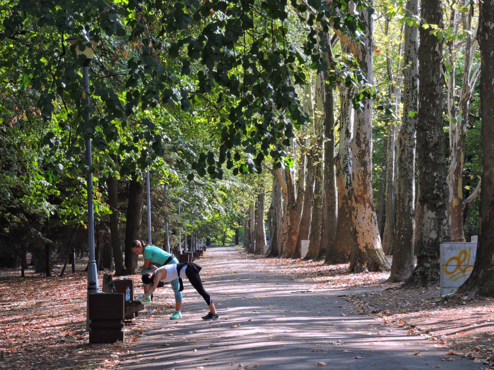Poznati političar pijan masturbirao pred devojkama u parku! U rukama držao gaćice i onanisao!