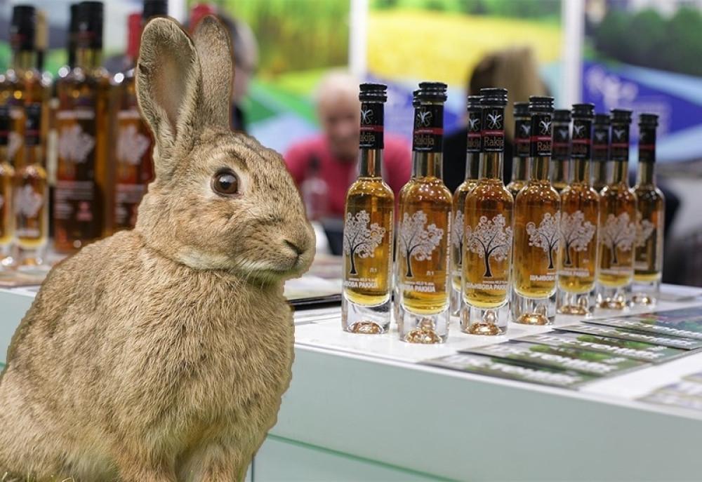 Pekao zeka rakiju na Borskom jezeru, pa je onako pijan otišao da prošeta, okliznuo se i upao u vodu...