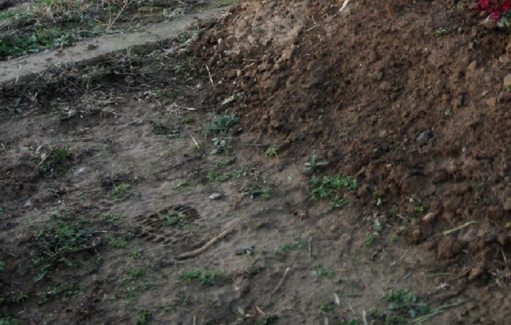 U njemu 3 kostura u veoma čudnom položaju (FOTO)