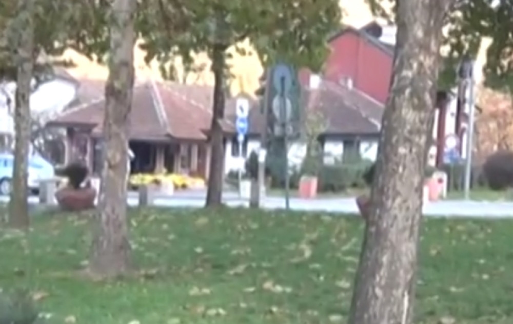 Ludo se zaljubio u Šarku, ima samo jedan problem - ne može s njom da ima odnose iz očiglednog razloga (FOTO)