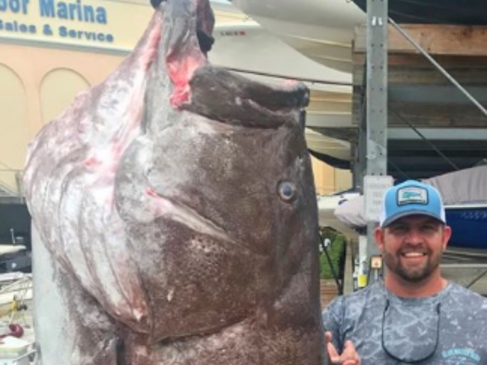 Iz morskih dubina izvučeno nešto što je ribare ostavilo bez teksta! Stara je više od 50 godina i ima 150 kilograma!