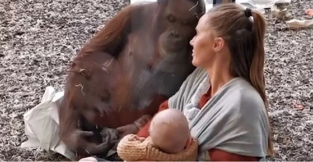 Obično dojenje završilo se sa nečim što će zauvek pamtiti! (VIDEO)