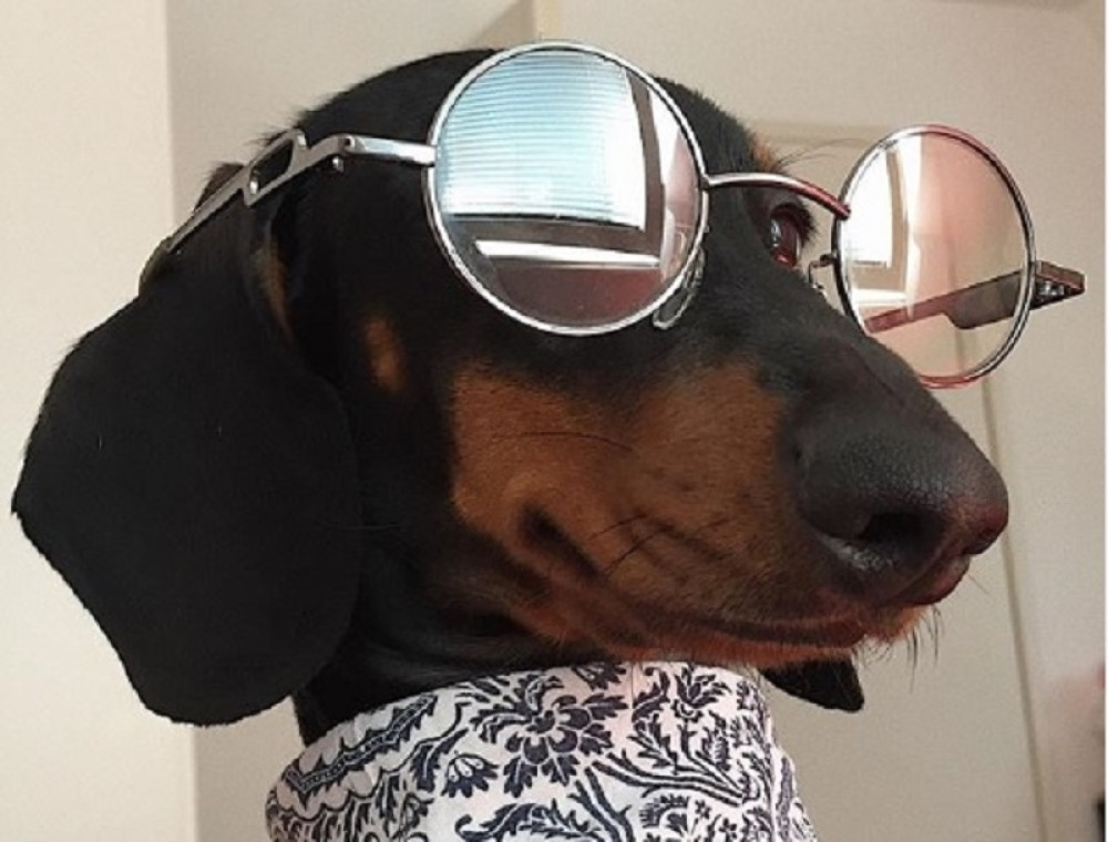 Ljubica je influenserka koja obožava da pozira, njen autfit oborio internet! (FOTO)