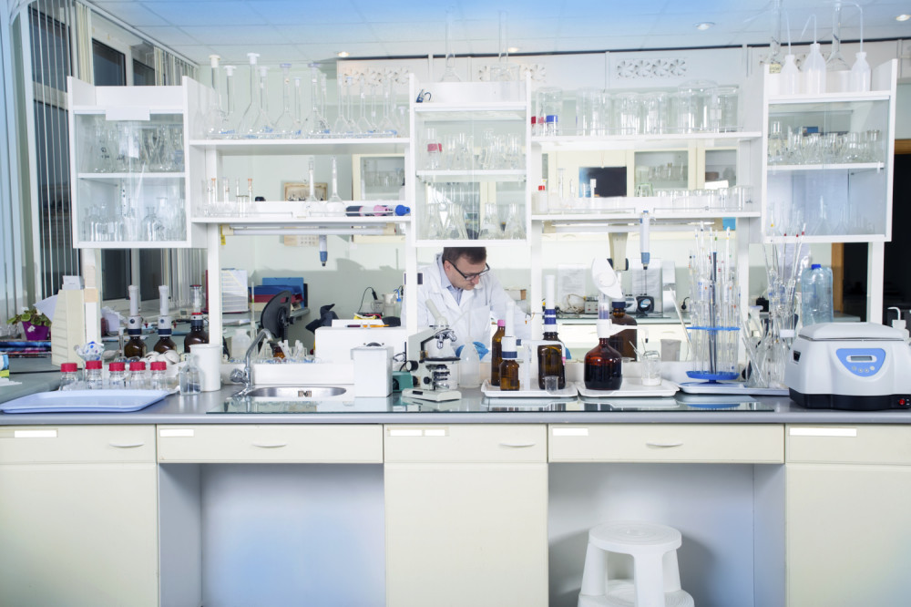 U Kini rođeno stvorenje koje je mešavina svinje i majmuna (FOTO)