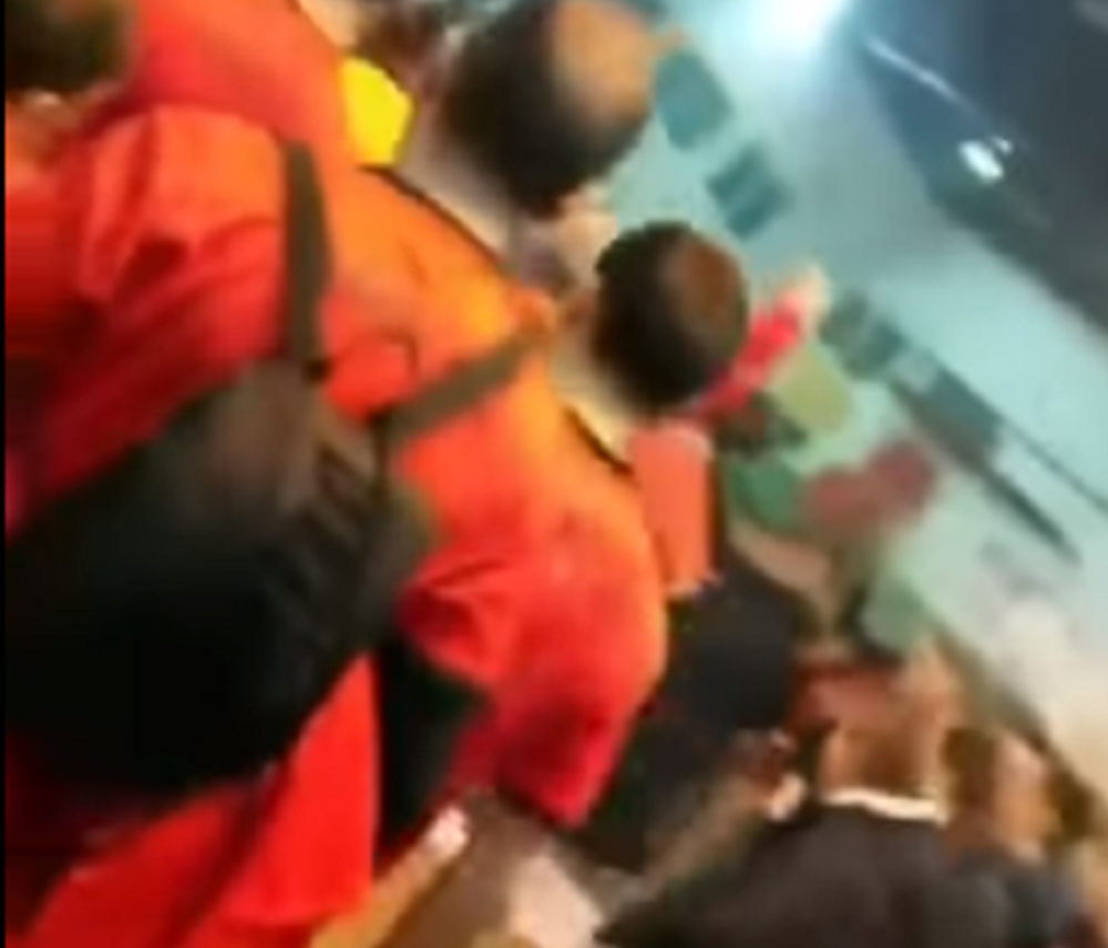 Horor u Crnoj Gori, životinja se grči i vrti u krug, oko nje vika i divljanje (VIDEO)