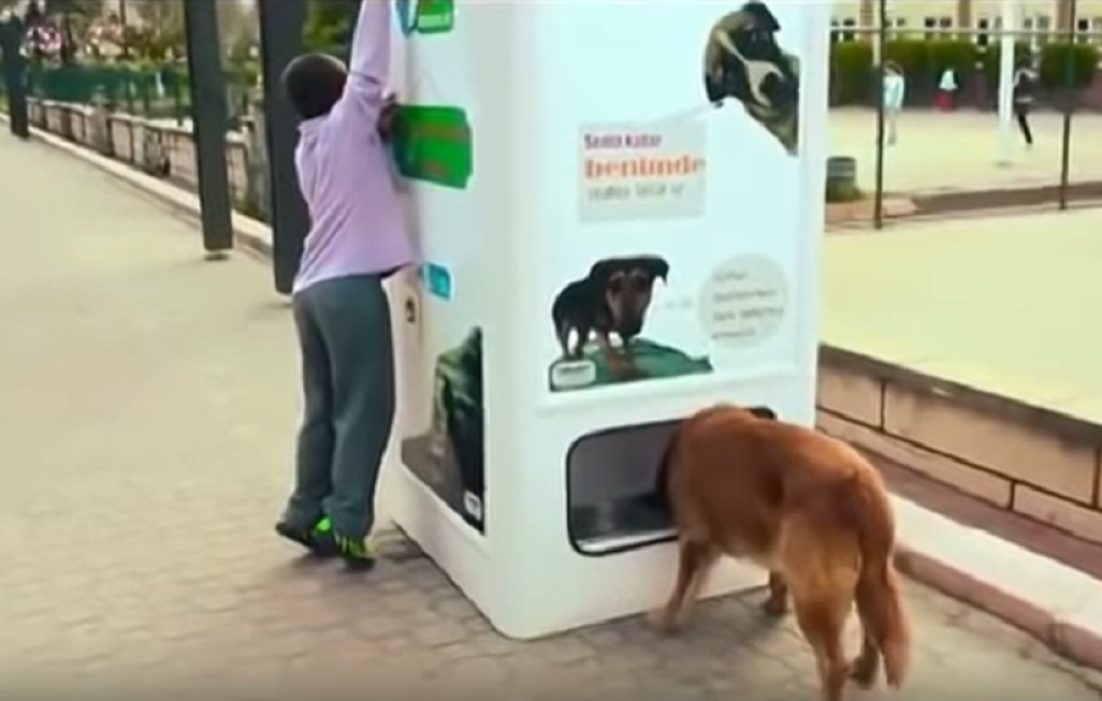 Ubaciš flašu, izbaci hranu za ulične ljubimce! (VIDEO)