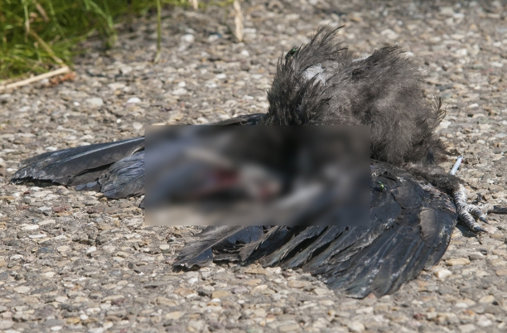 Pogledajte šta vam rade deca, ovakvo ponašanje MORA da prestane odmah!