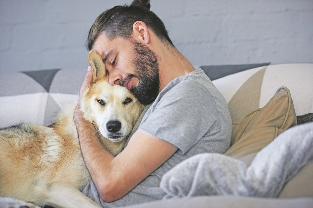 Stvari koje naši krzneni prijatelji nikako ne vole