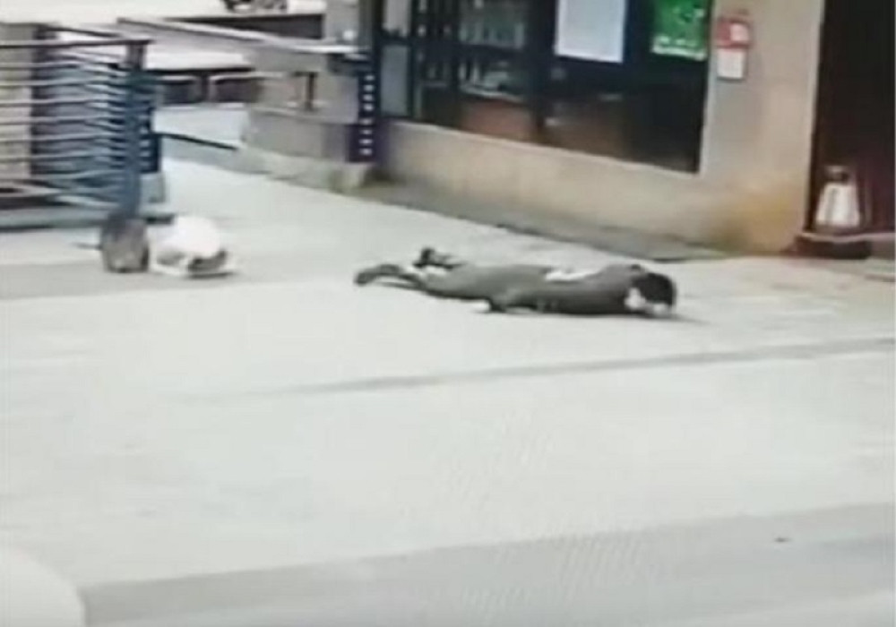 Ljudi kao pokošeni padaju na sve strane (FOTO)