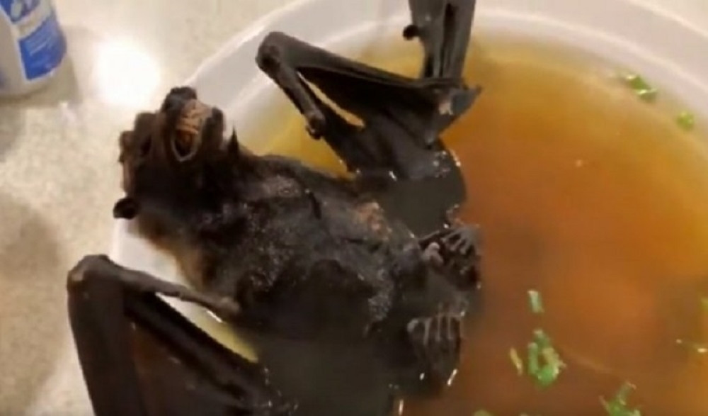 Uznemirujući snimci donose pravu istinu o širenju koronavirusa