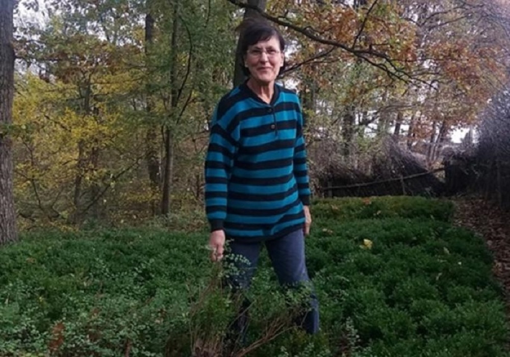 Pantići se razbijaju od posla, došli na ideju da gaje biljku koja nam svima raste pred nosom, biznis cveta, osmesi na licima (FOTO)