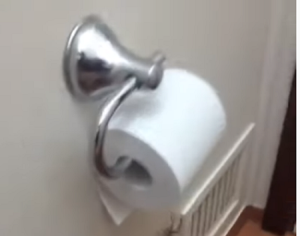 Taman je seo na wc šolju da se olakša, a onda su počele sve njegove noćne more (VIDEO)