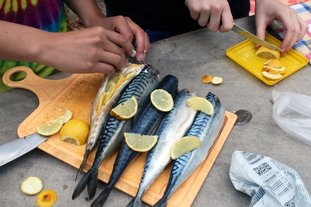 Šta raditi kad se proguta riblja kost