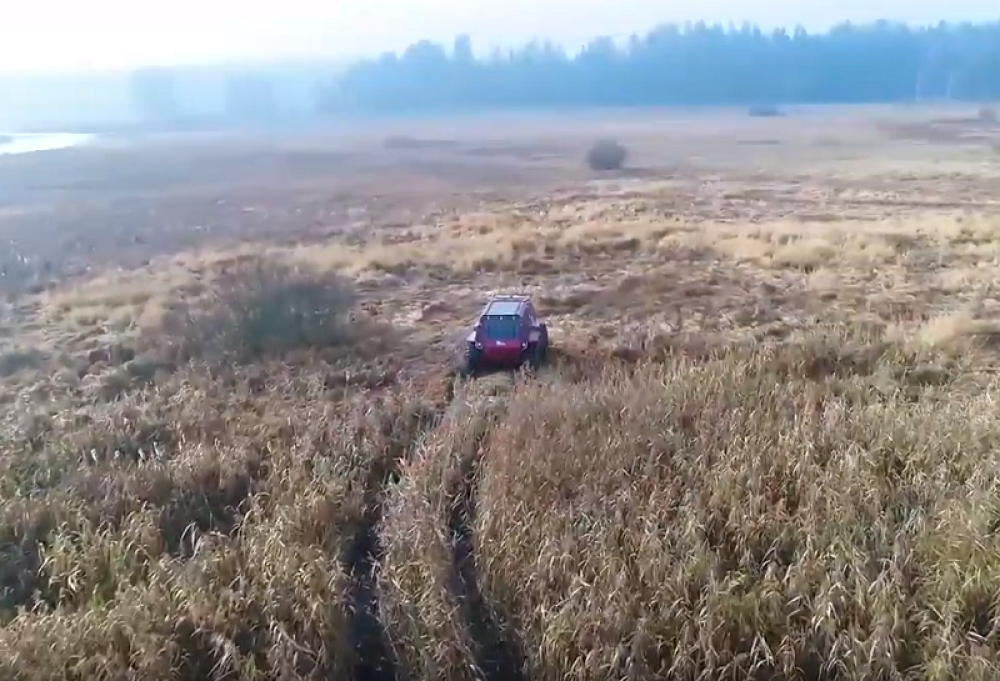 Kobajagi sitan, a u stvari zverčina! Dvotonaš "BigBo" gazi preko svega! (VIDEO)