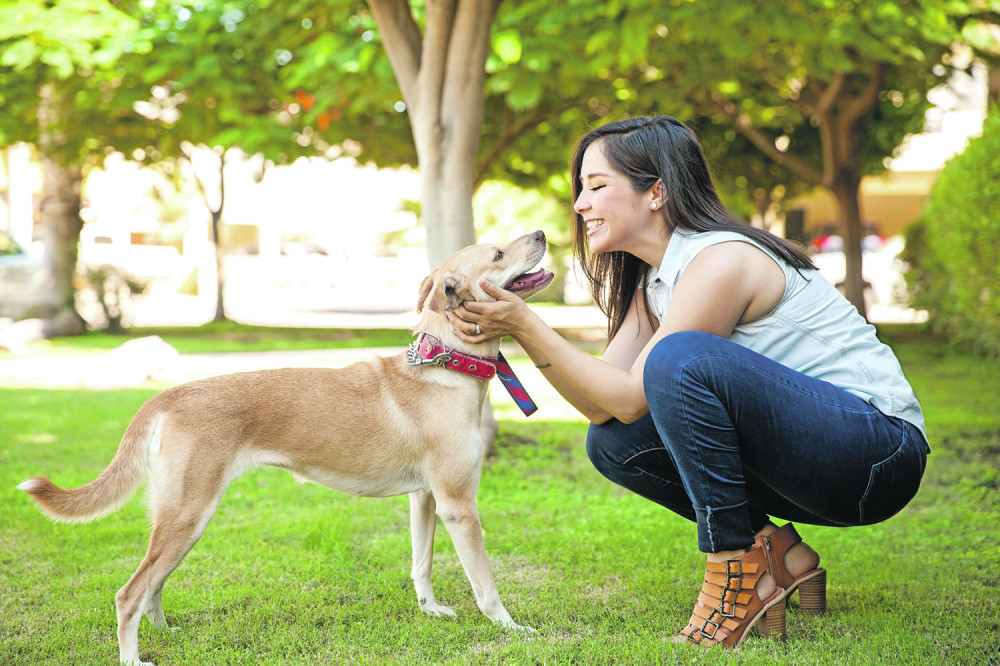 Mislili su da psi ne osećaju emocije, ali su onda shvatili šta se zapravo dešava