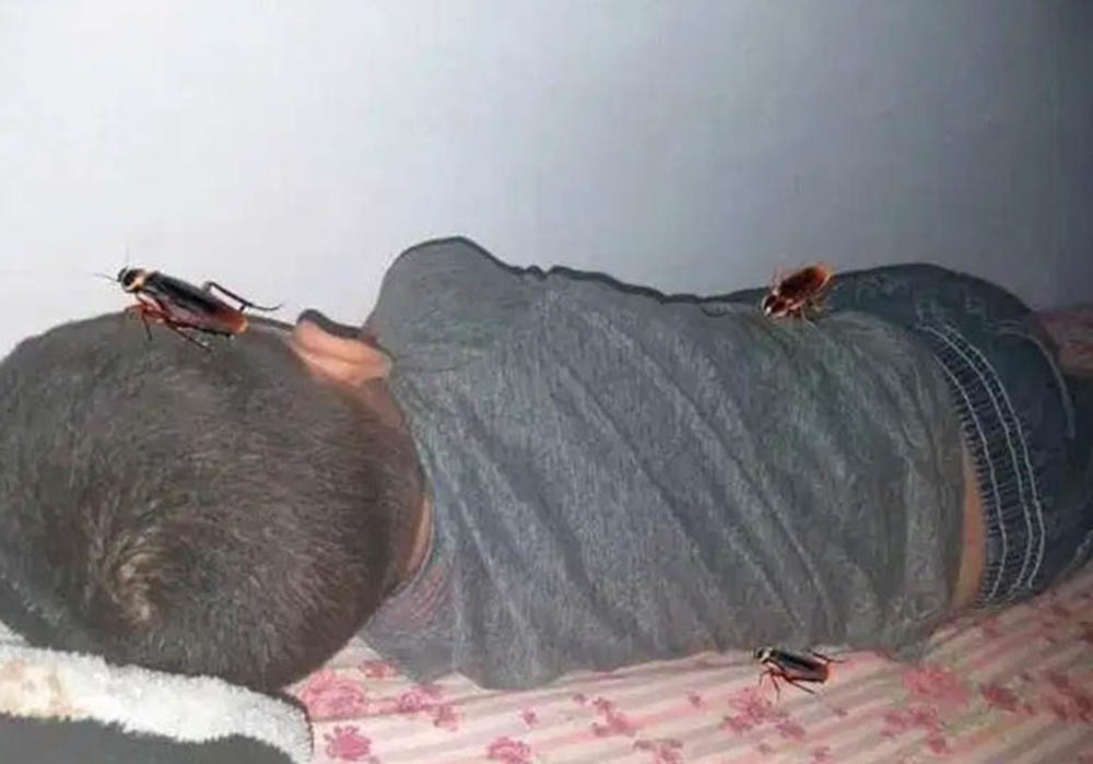 Javno objavila fotografiju od koje su se zapalile društvene mreže (FOTO)