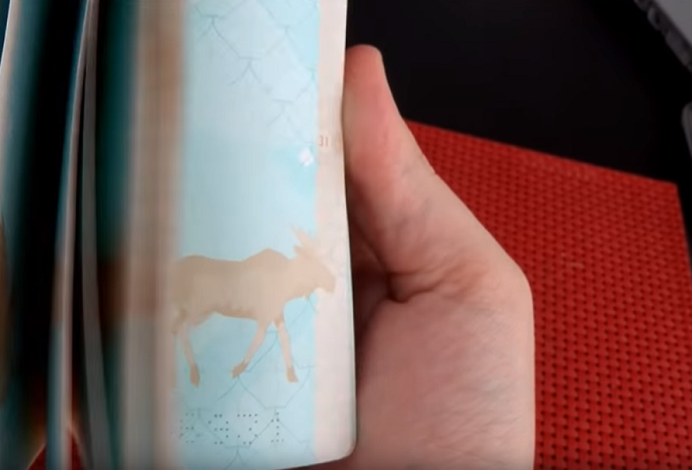 Pogledajte skrivene poruke među koricama putnih isprava država širom sveta (FOTO/VIDEO)