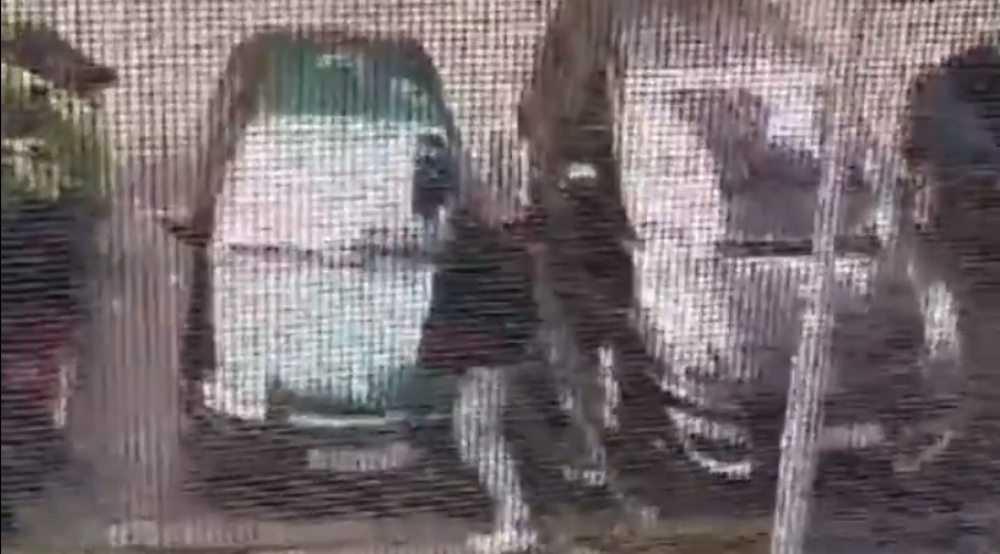 Muškarac iz Obrenovca danonoćno siluje automobile (VIDEO)