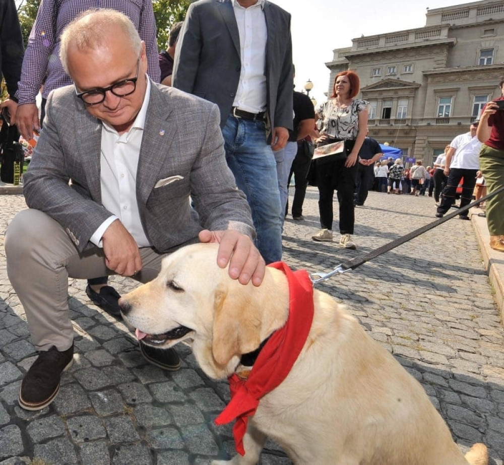 Tender za izgradnju groblja kućnih ljubimaca u septembru