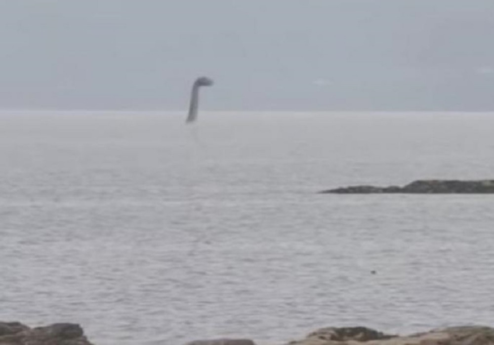 Pojavila se prva fotografija (AUTENTIČNA FOTOGRAFIJA STVORENJA)