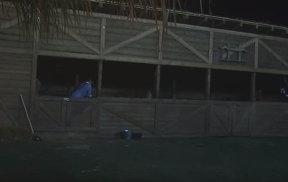 Kupala se u štali i to u koritu kod životinja, pored onolikog bazena u Zadruzi: Kamere sve zabeležile! (VIDEO)