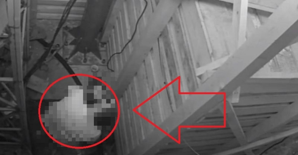 Imali žešći se*s, a mislili da ih kamere ne snimaju! Šok!