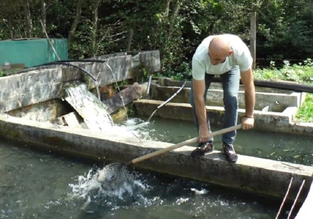 Posao koji nije nimalo lak, ali donosi mnogo para!