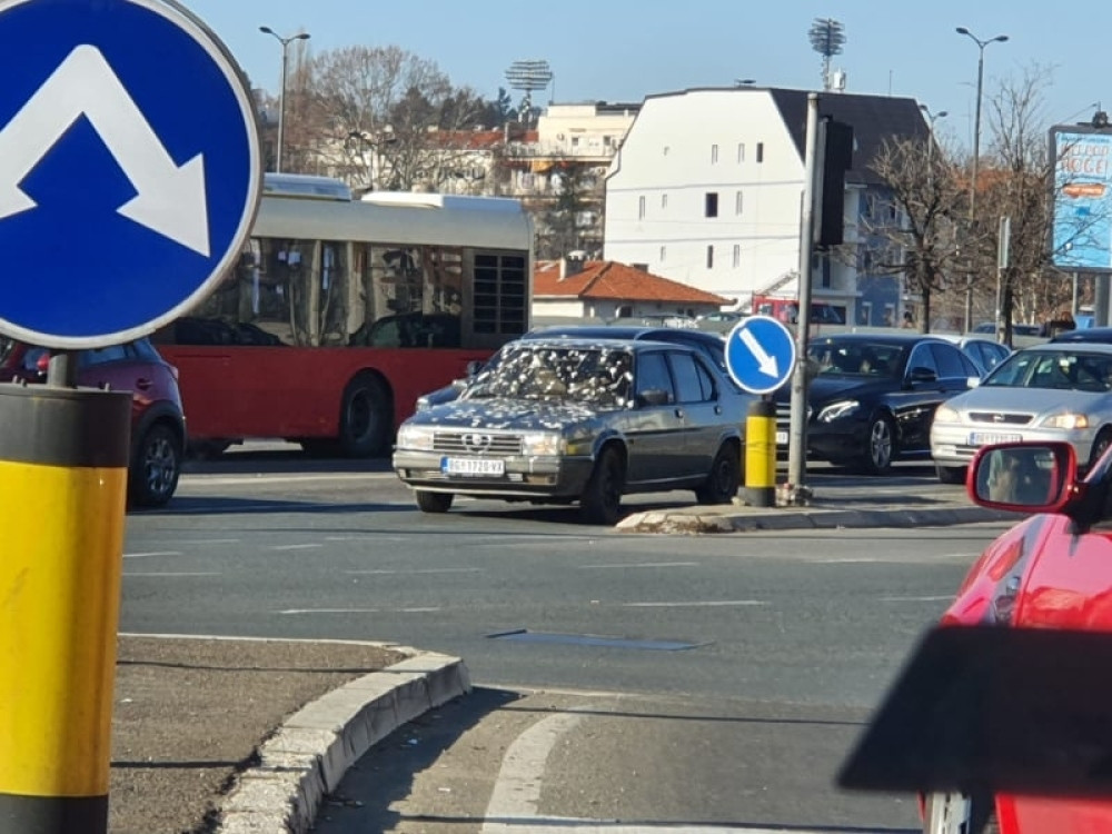 Vozač iz Beograda parkirao ispod pogrešnog drveta, ono što mu se desilo je noćna mora svakog od nas (FOTO)