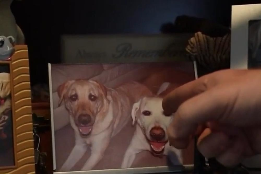 Bili su u potpunom šoku kada su videli kako se ponaša njegov naslednik (VIDEO)