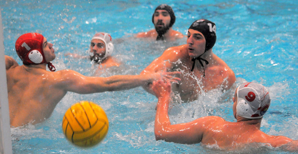 Šumadinci u eliti Jadrana