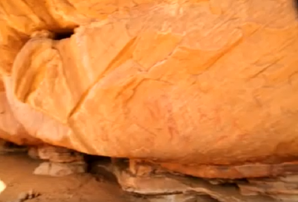 Naučnici otkrili veliku tajnu! (VIDEO)