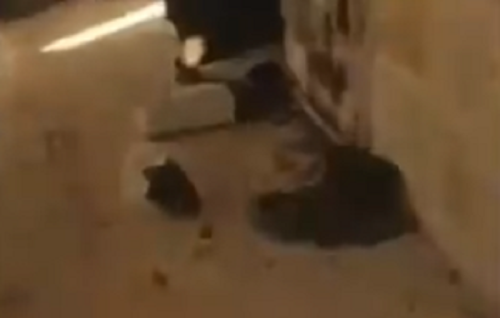 Džihadisti objavili snimak! (UZNEMIRUJUĆI VIDEO)